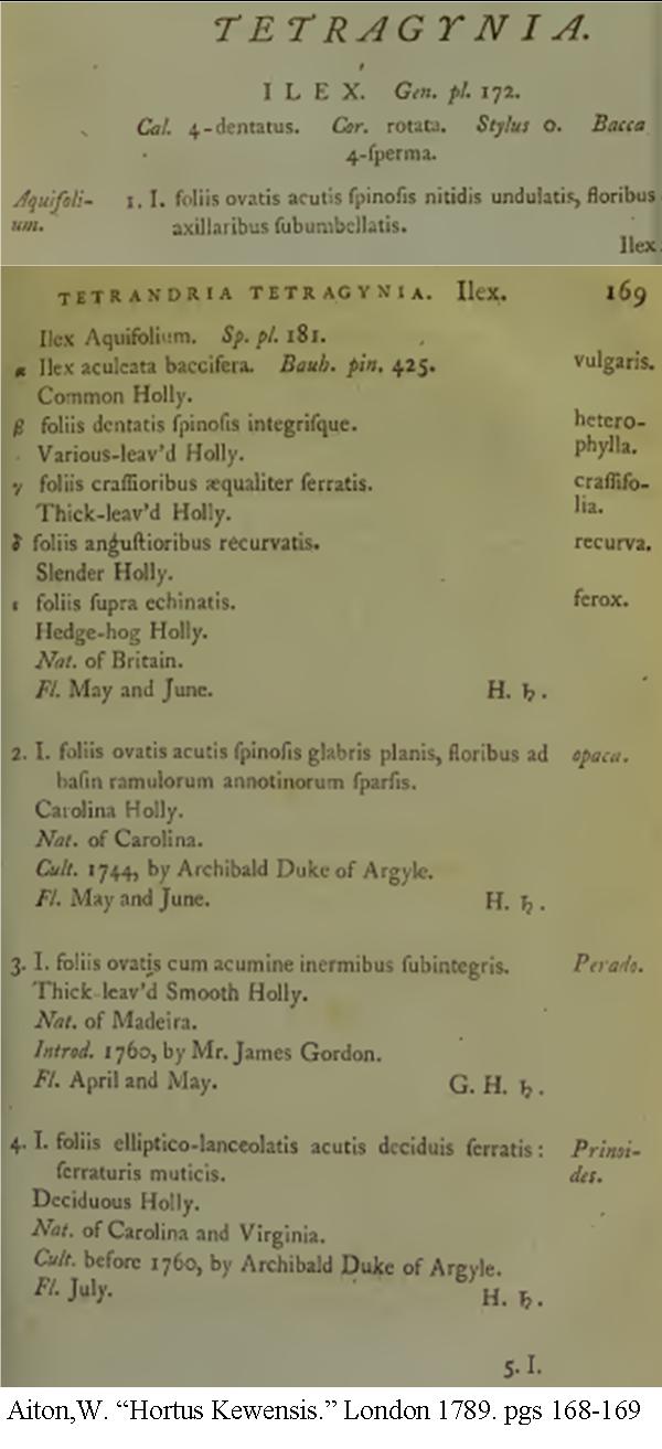 aiton-hortus-kew-pg-168_169