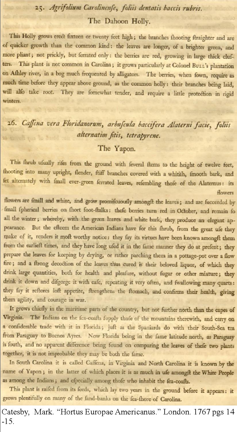 catesby-1767-hortus-europa-americanus