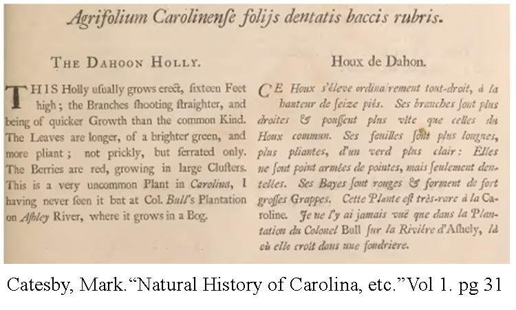 catesby-vol-1-dahoon-text