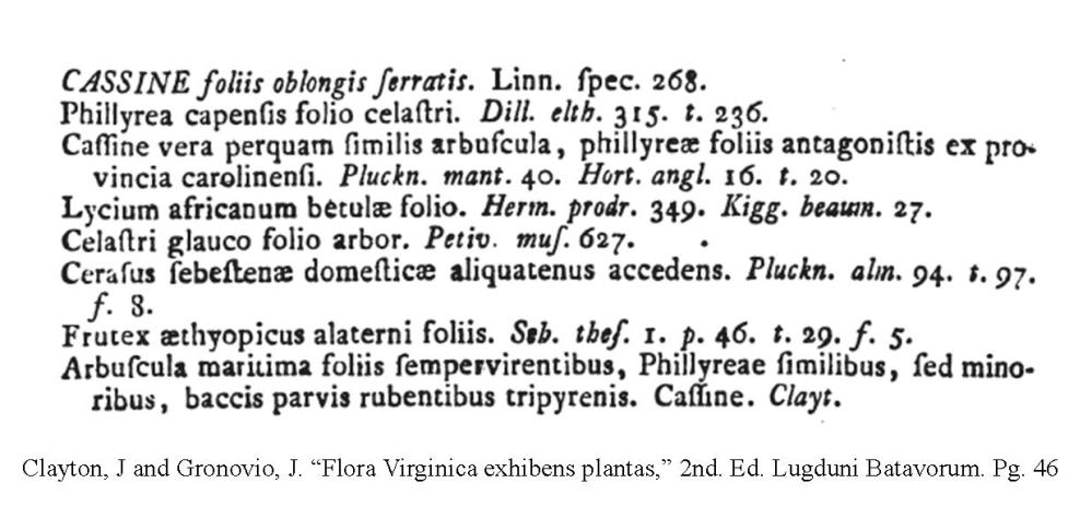 clayton-j-flora-virginica