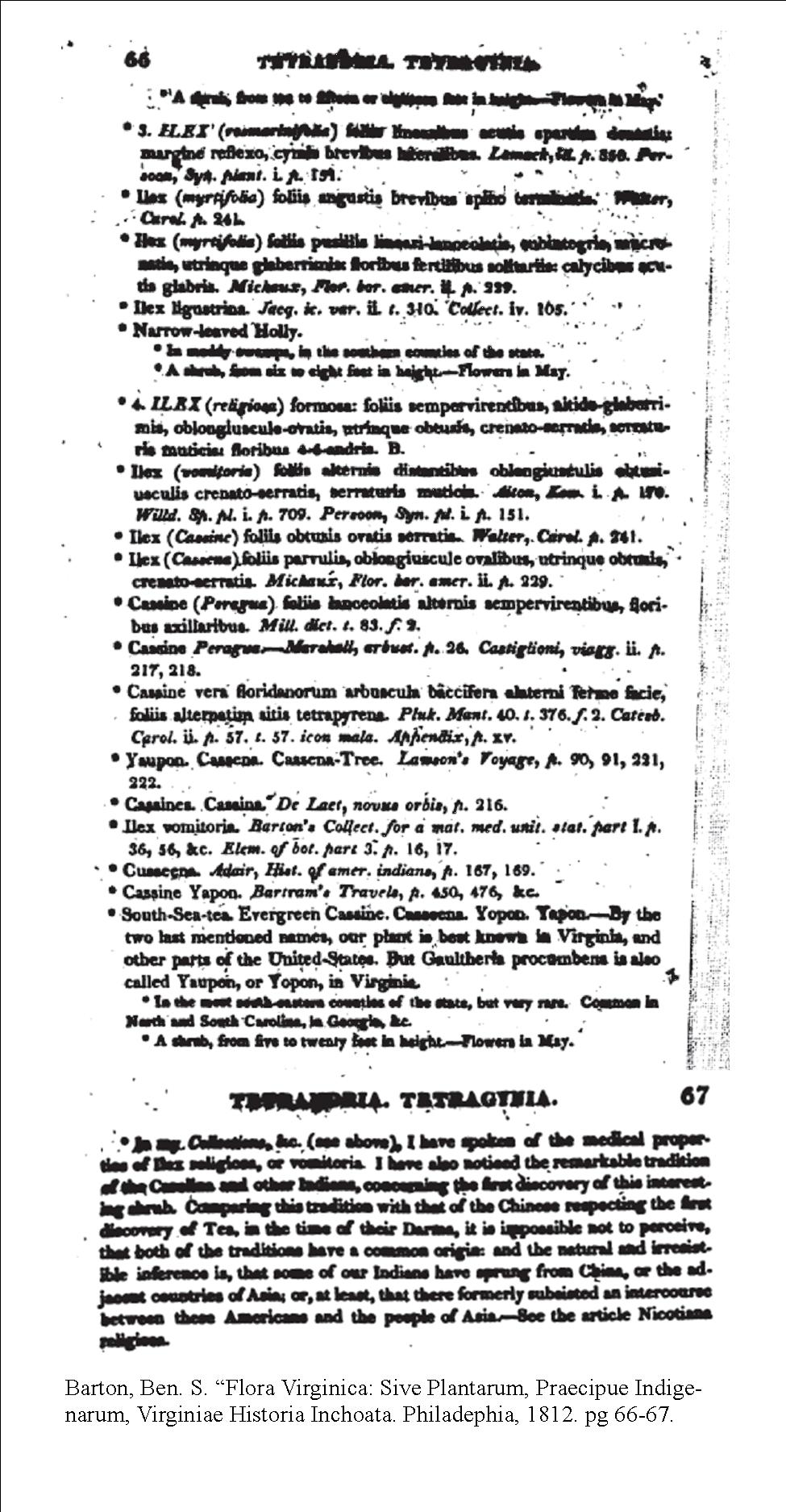 flora_virginica-pg-66_67_barton