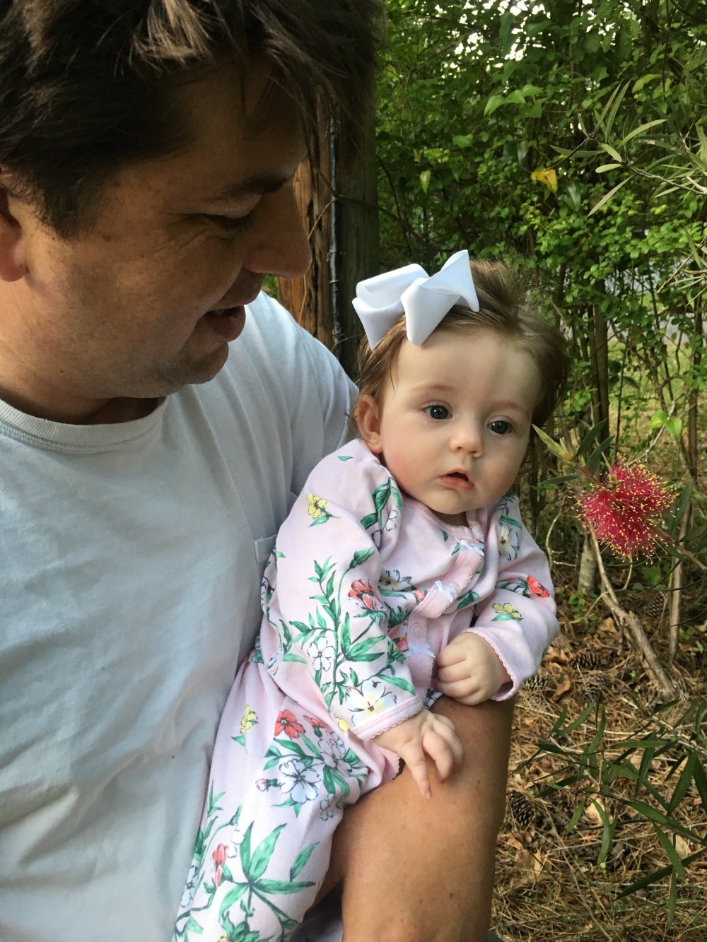 dada and vada and bottlebrush