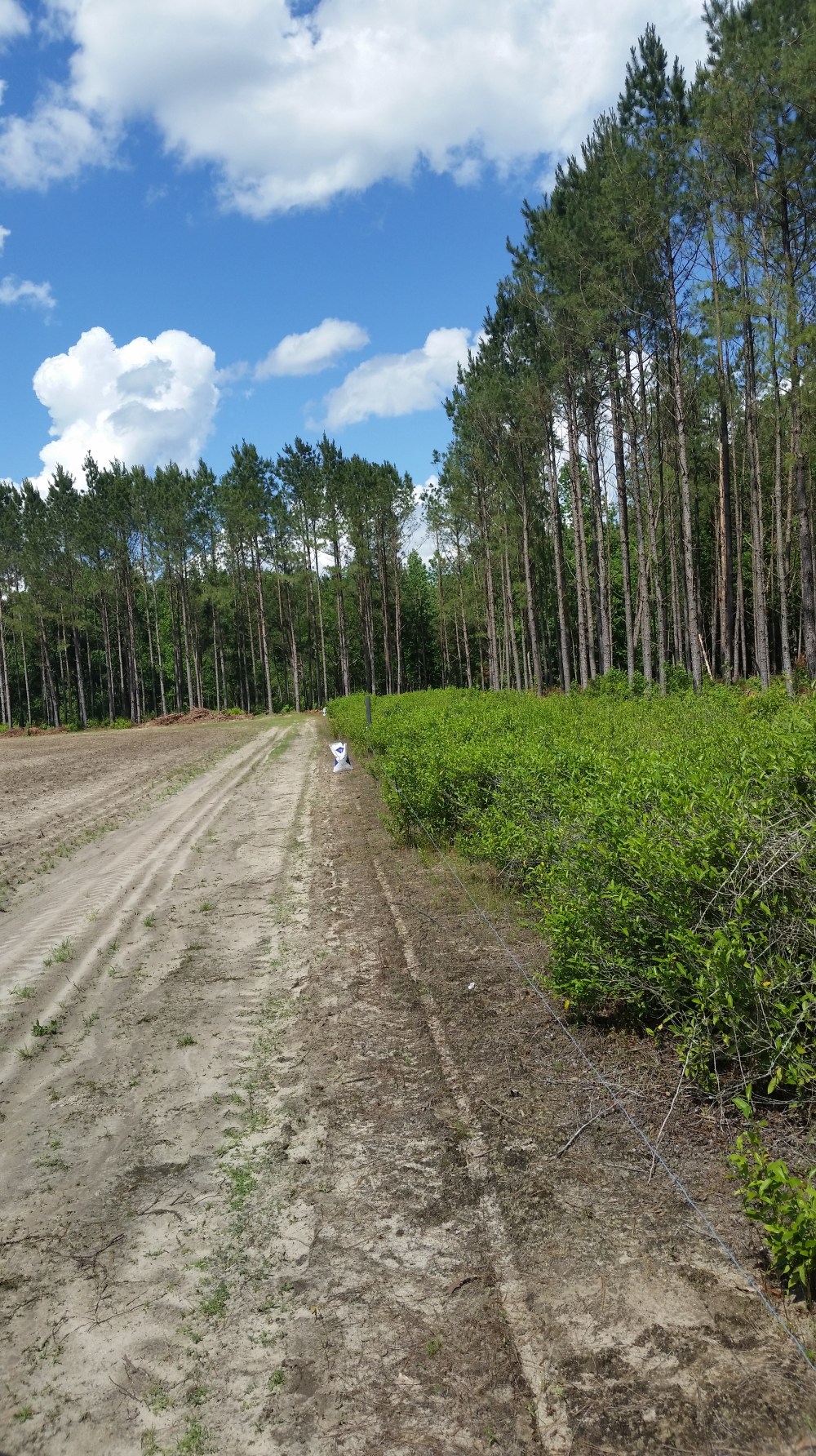 fleming estate block
