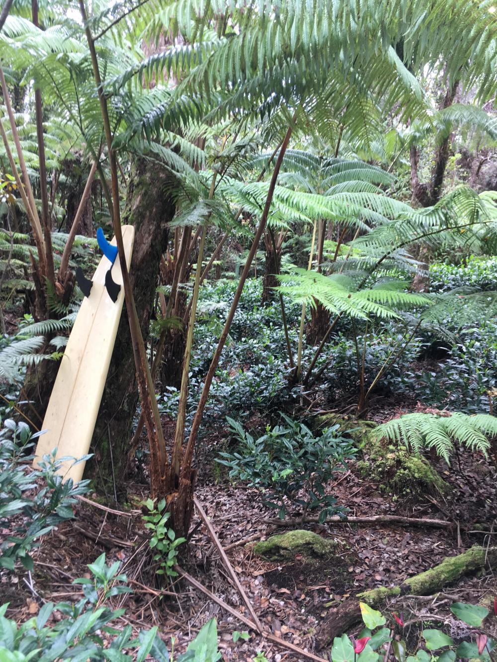 second alarm farm tea surf board